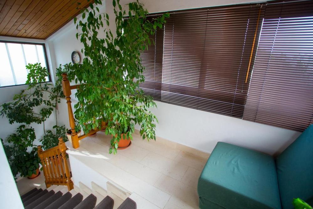 Apartments Tanja Podgora Exterior foto