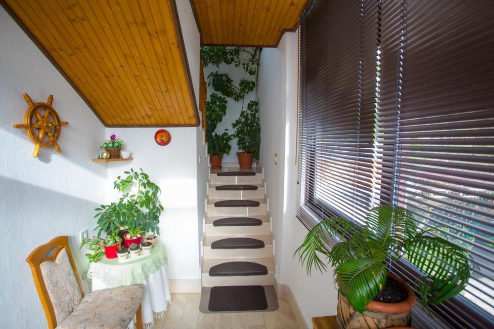 Apartments Tanja Podgora Exterior foto